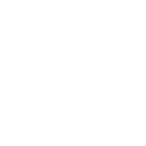 Discord Nitro logo
