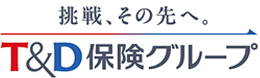 Td Holdings logo