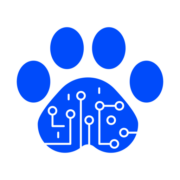 PlayTach logo