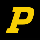 Playbook365 logo