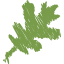 Genesis Park