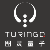 TuringQ logo