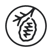 Waverley Street Foundation logo