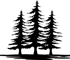 Contest Point Ventures
