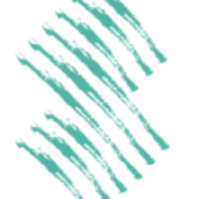 Velvet Sea Ventures logo