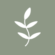 Thyme logo
