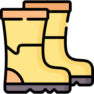 Qlty logo