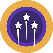 Salvo Journeys logo