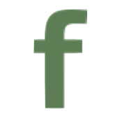 Fabrinet logo