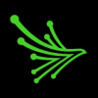 Black Kite logo