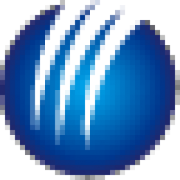 World Micro logo