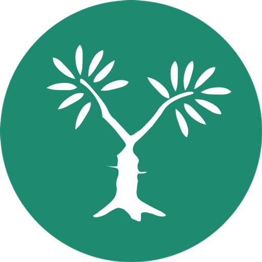 MEJDI Tours logo