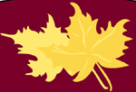 First National Bank of Grayson logo
