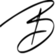 Bergio International logo