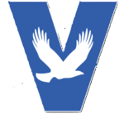 Vision Bank logo