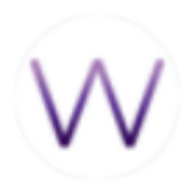 Wise Ventures logo