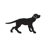 Black Dog LED logo