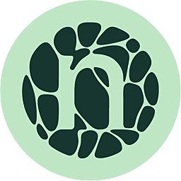 Novonesis logo