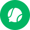 Playo logo