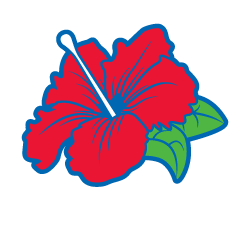 Borinquen Medical Centers logo