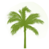 Mid Carolina Credit Union logo