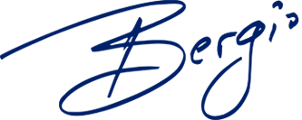 Bergio International logo