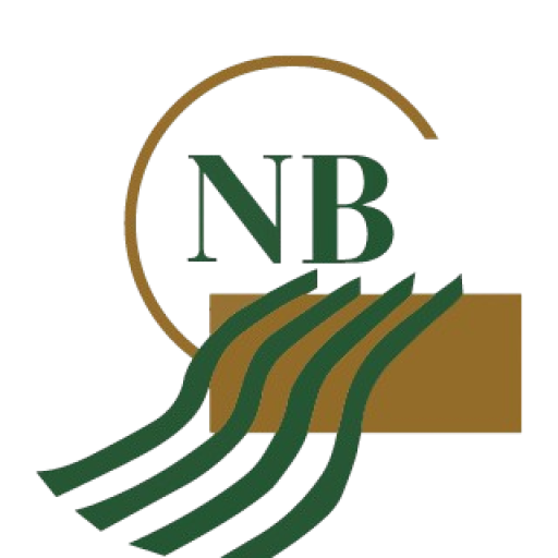 National Bank of St. Anne logo