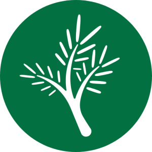 Noble Credit Union logo