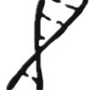 Excel Venture Management logo