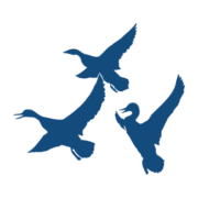 Sebasticook Valley Federal Credit Union logo