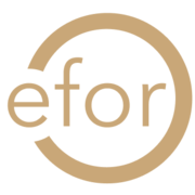 Efor Group logo