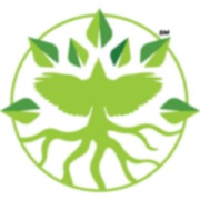 Roots and Wings logo