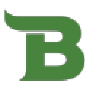 Bison State Bank logo