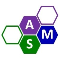 Accurate Medical Systems logo