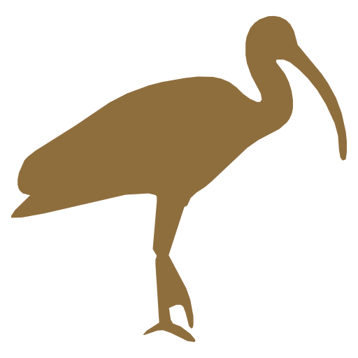 Ibis logo