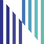 Northern Light Microscopy logo