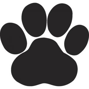Pet Care Innovation Prize