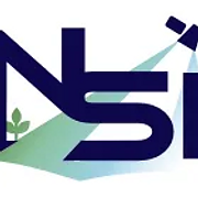 New Space Intelligence logo