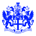 Turquoise logo