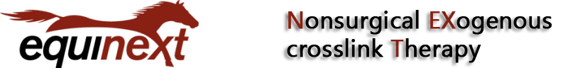 Equinext