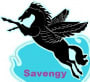 Savengy