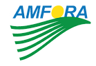 Amfora