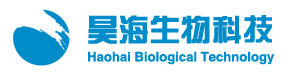 Haohai Biological Technology