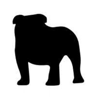 Bulldog Innovation Group