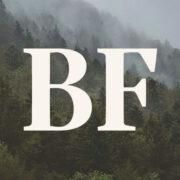 Barnfox