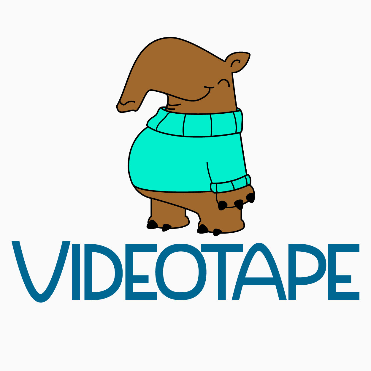 Videotape