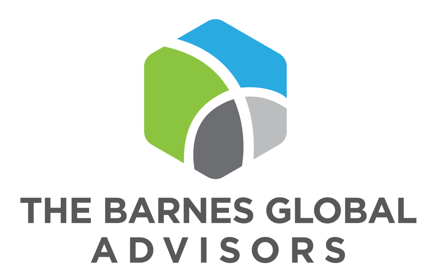 The Barnes Global Advisors