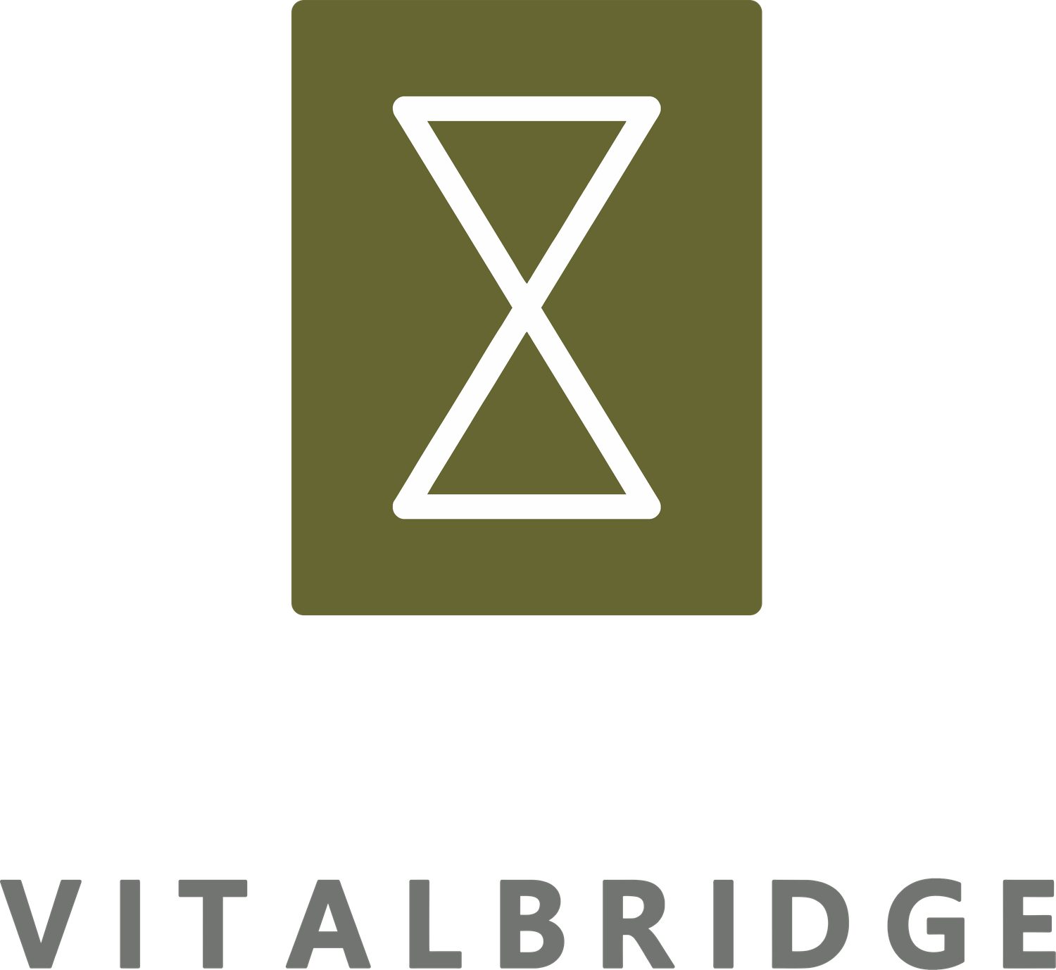 Vitalbridge