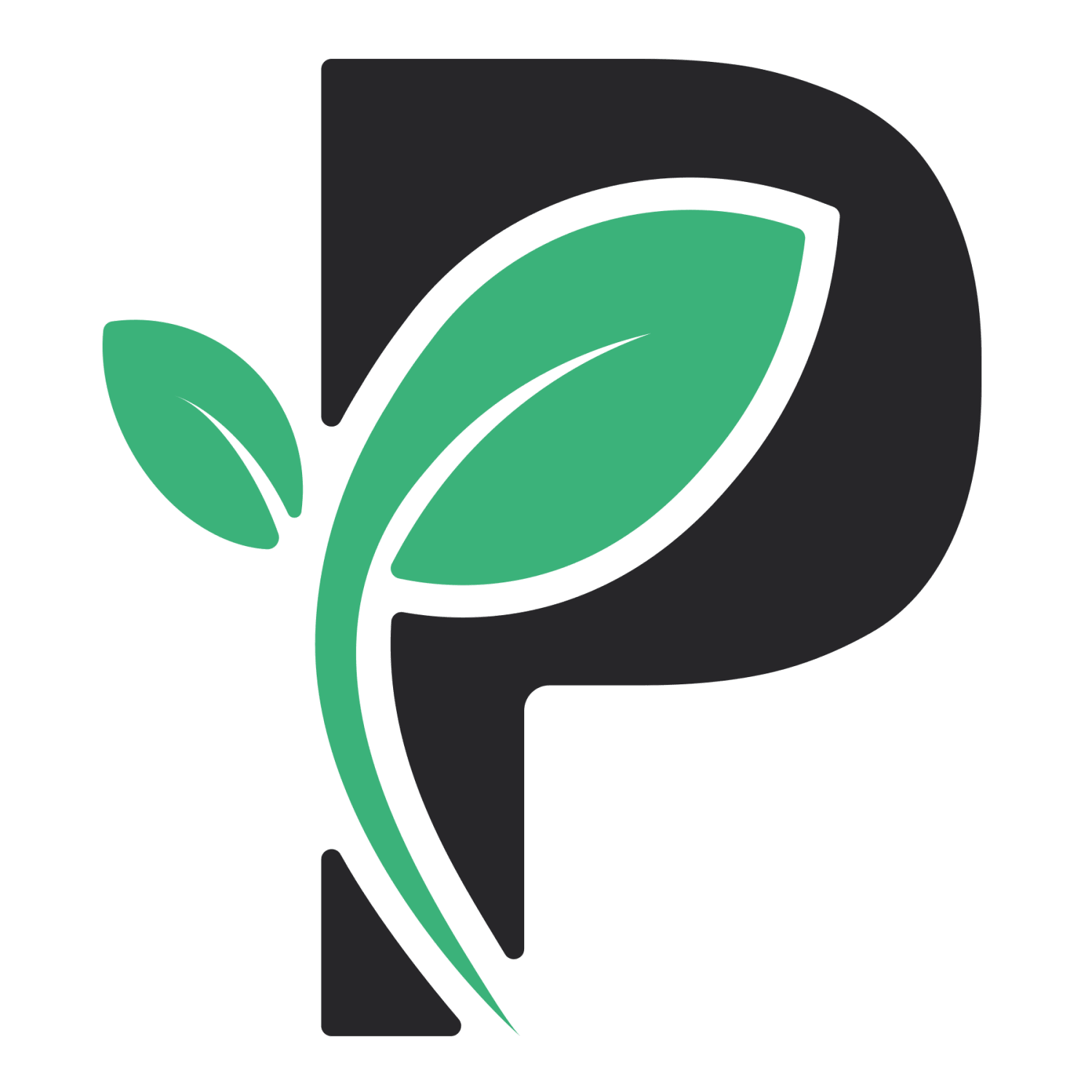 Passiv