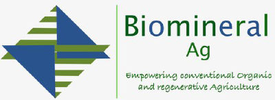 Biomineral Systems